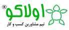 تیم مشاورین کسب و کار اولاکو