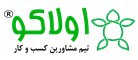 تیم مشاورین کسب و کار اولاکو